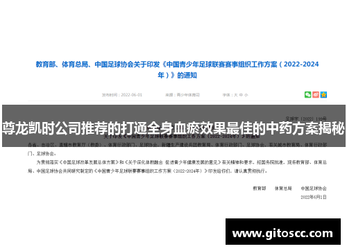 尊龙凯时公司推荐的打通全身血瘀效果最佳的中药方案揭秘