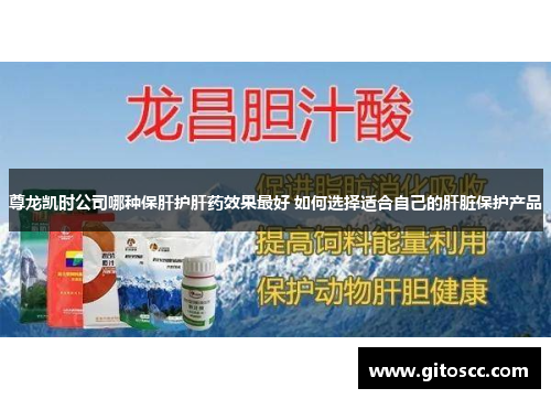 尊龙凯时公司哪种保肝护肝药效果最好 如何选择适合自己的肝脏保护产品